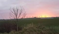 Bild "2024-Q4:Sonnenaufgang_bearbeitet_h140.jpg"